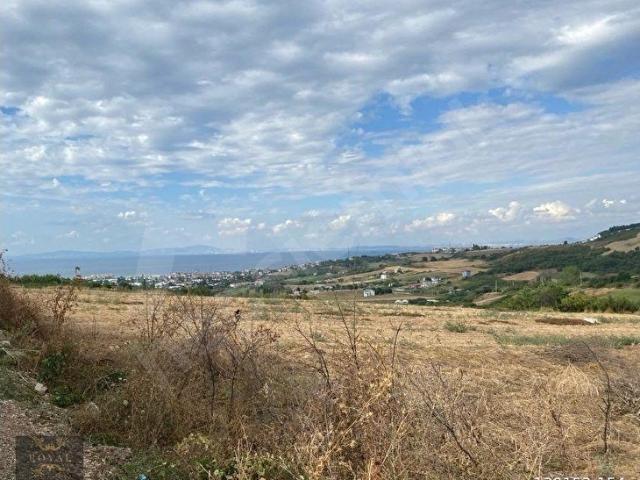 Termal, Yalova içerisinde satılık Arsa