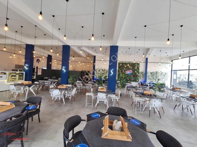 Bolvadin, Afyonkarahisar içerisinde kiralık mülk