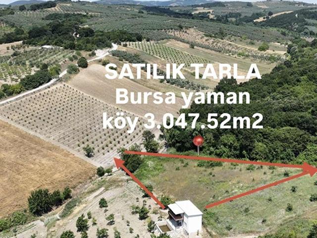 Mudanya, Bursa içerisinde satılık mülk