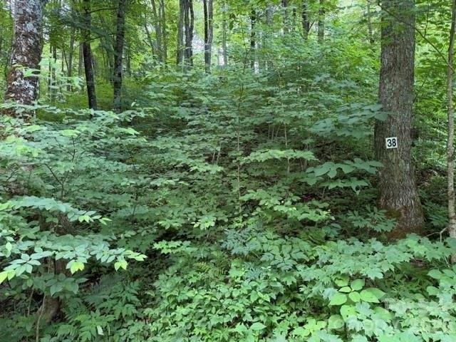Land for sale in Haywood, North Carolina
