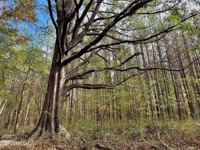 Land for sale in Madison, Mississippi