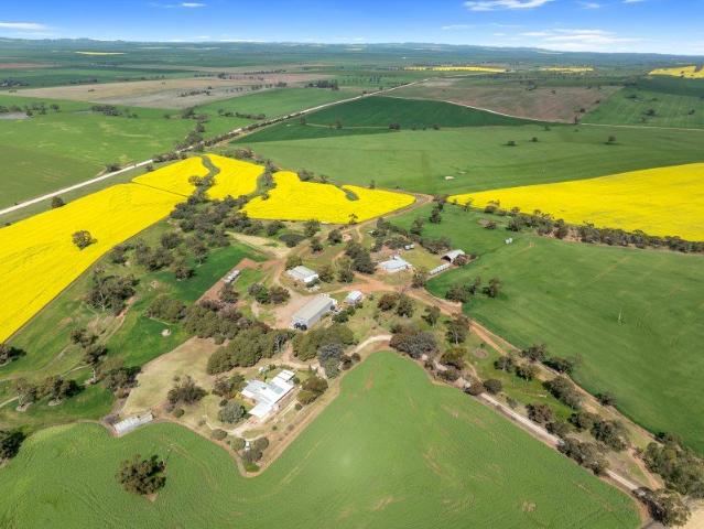 Land for sale in Booleroo Centre, South Australia