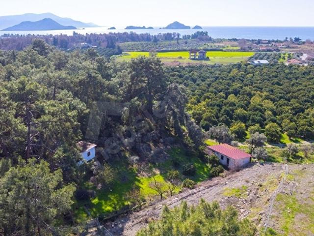 Fethiye, Muğla içerisinde satılık Arsa