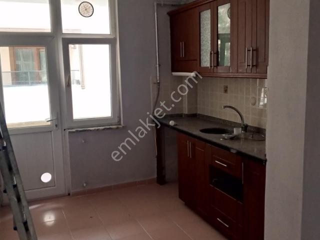 Körfez, Kocaeli içerisinde kiralık mülk