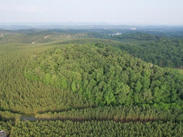 Land for sale in Summerville, Chattooga County