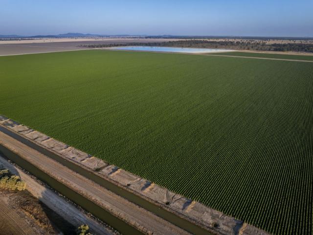 Property for sale in New South Wales