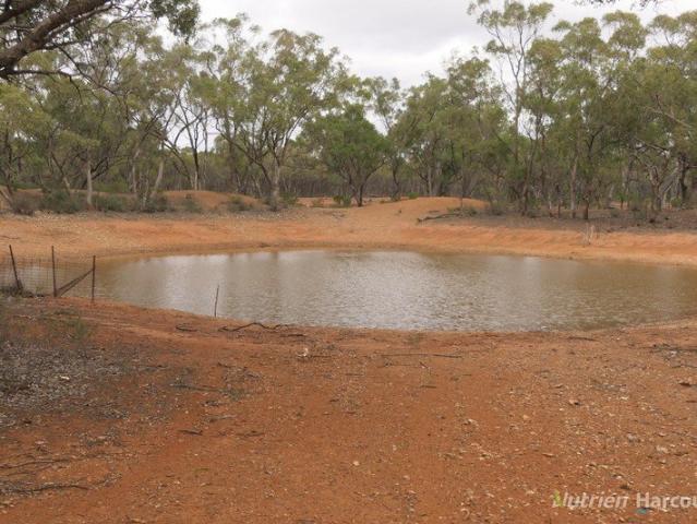 Cottage for sale in Nymagee, New South Wales