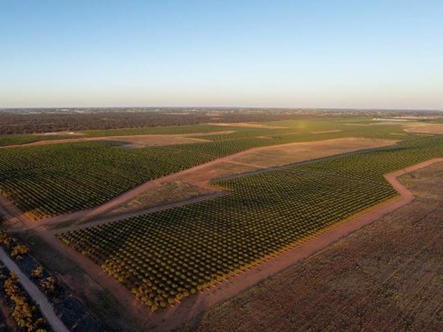 Property for sale in Red Cliffs, Victoria