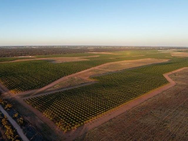 Cottage for sale in Red Cliffs, Victoria