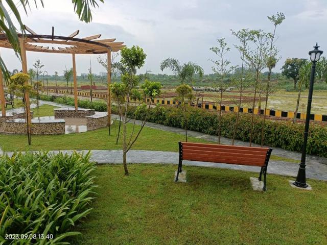 Land for sale in Lakhana, Arunachal Pradesh