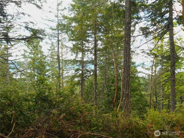 Land for sale in Brinnon, Washington