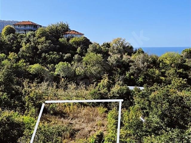 Amasra, Bartin içerisinde satılık Arsa
