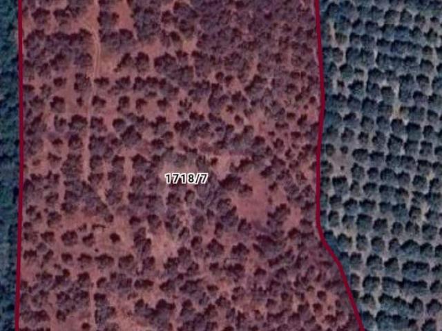 Karacaoğlan, Kozan içerisinde satılık mülk