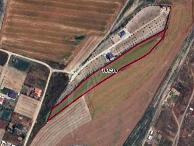 Marmaraereğlisi, Tekirdağ içerisinde satılık Arsa