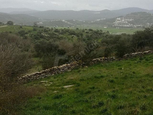 Milas, Muğla içerisinde satılık mülk