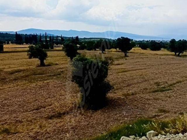 Urla, İzmir içerisinde satılık Arsa