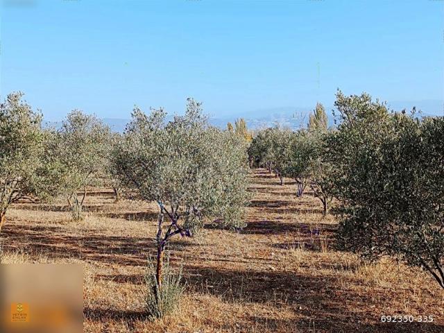 Yatağan, Muğla içerisinde satılık Arsa