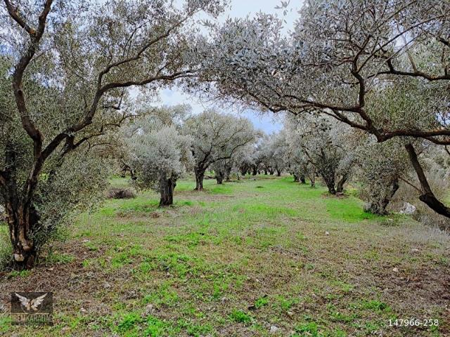 Yatağan, Muğla içerisinde satılık Arsa