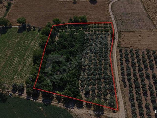 Yatağan, Muğla içerisinde satılık Arsa