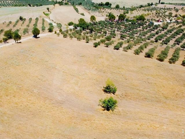 Yatağan, Muğla içerisinde satılık Arsa