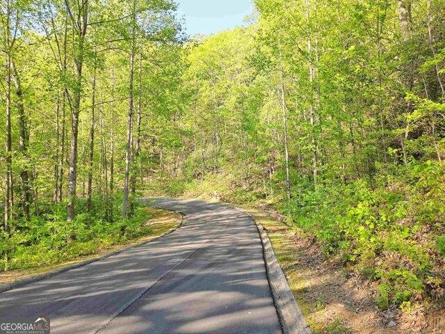 House for sale in Clarkesville, Georgia