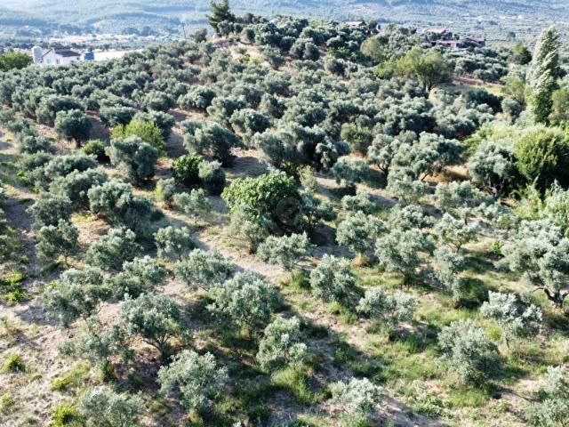 Torbali, İzmir içerisinde satılık mülk