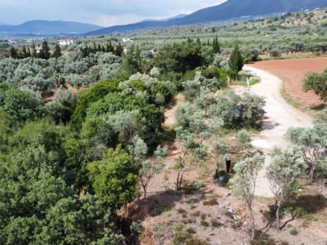 Torbali, İzmir içerisinde satılık Arsa