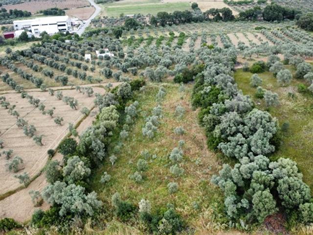 Torbali, İzmir içerisinde satılık mülk