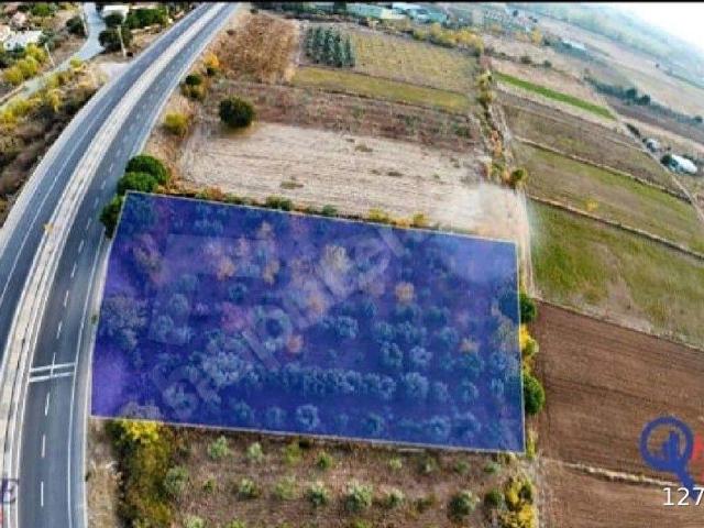 Dikili, İzmir içerisinde satılık Arsa