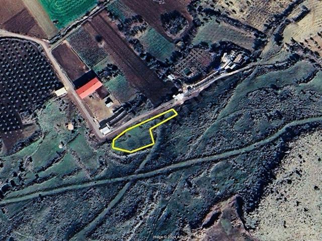 Topdağı, Kilis Merkez içerisinde satılık mülk