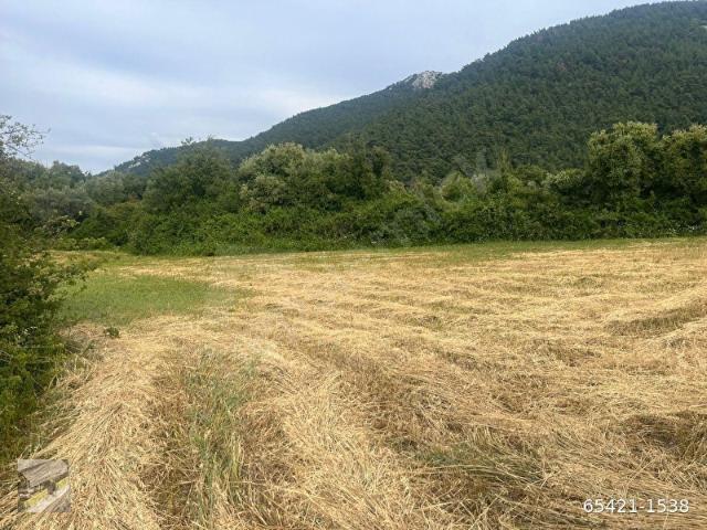 Milas, Muğla içerisinde satılık mülk