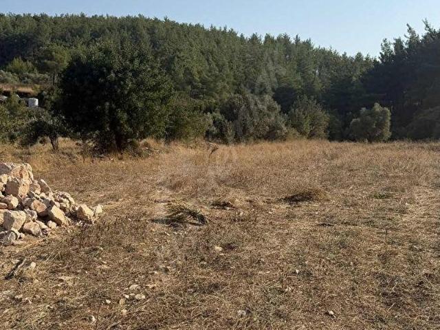 Milas, Muğla içerisinde satılık Arsa