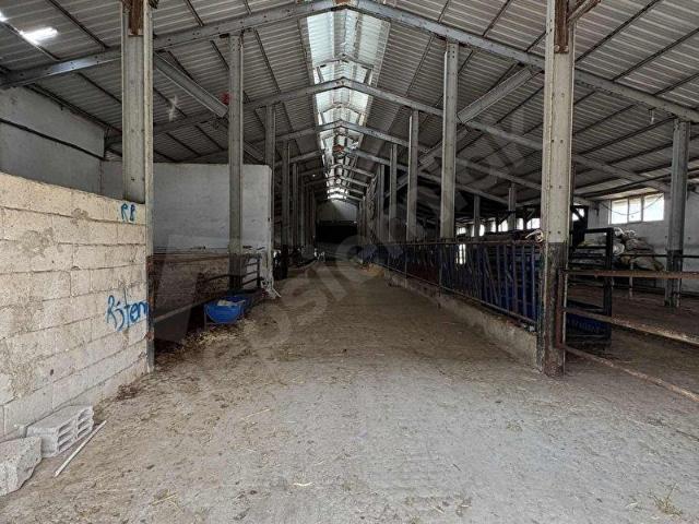 Yenipınar, Aksaray Merkez içerisinde satılık Fabrika