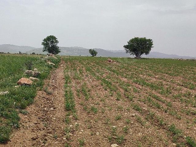 Hasköy, Ulubey içerisinde satılık Arsa