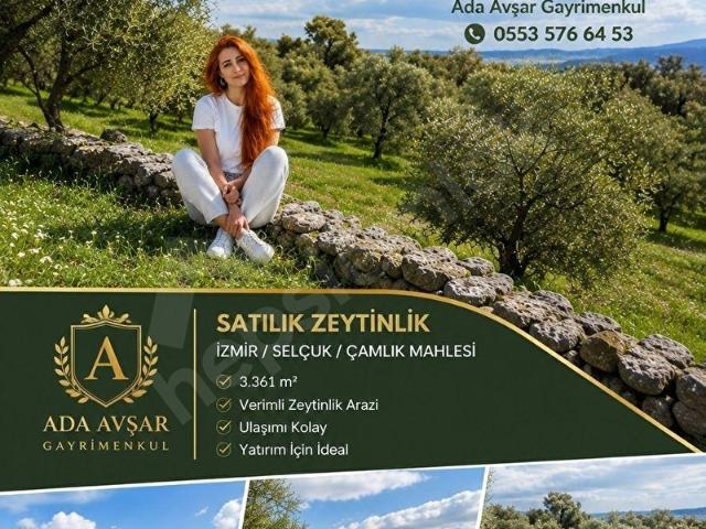 Selçuk, İzmir içerisinde satılık mülk