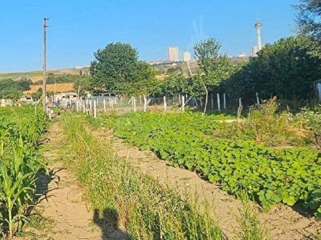Büyükçekmece, İstanbul içerisinde satılık mülk