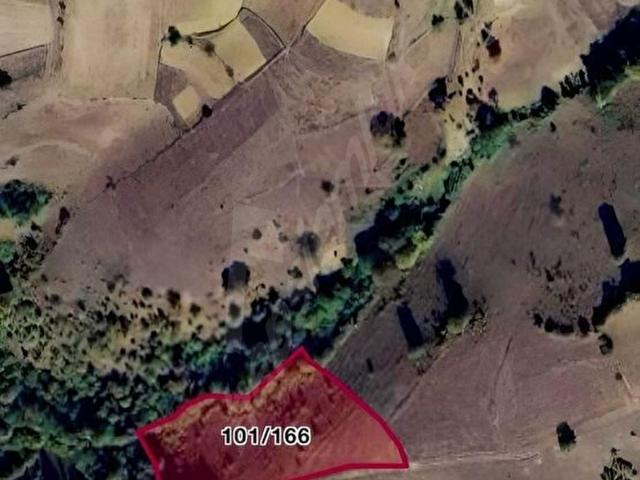 Kavak, Samsun içerisinde satılık Arsa