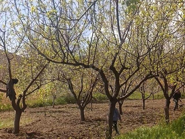 Yeşilhisar, Kayseri içerisinde satılık mülk
