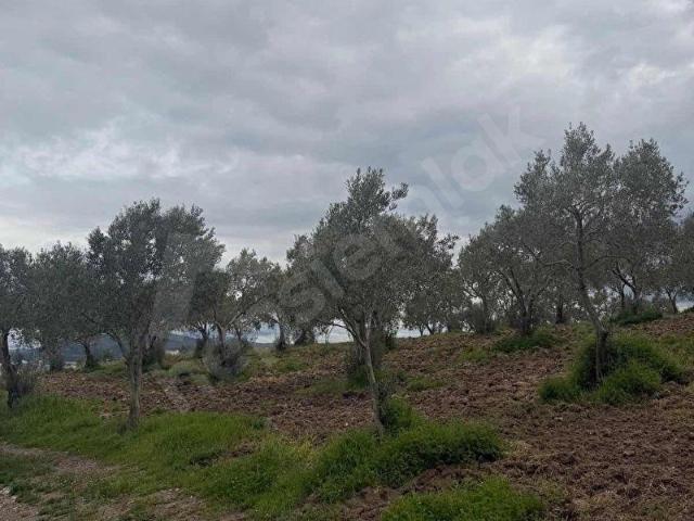 Akhisar, Manisa içerisinde satılık mülk