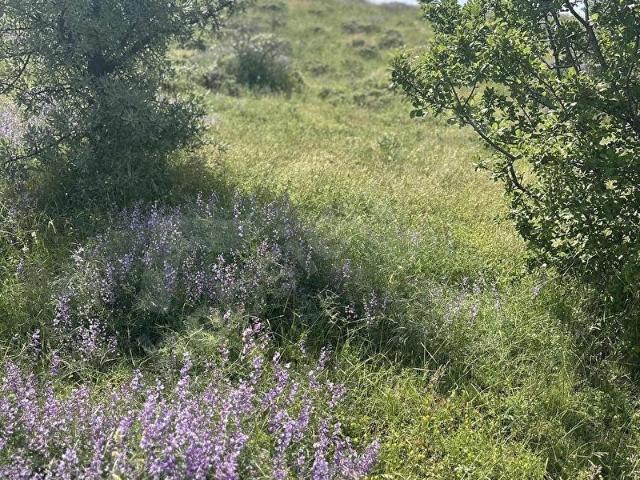 Akyurt, Ankara içerisinde satılık Arsa