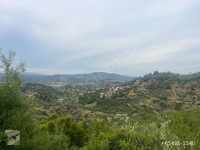 Milas, Muğla içerisinde satılık Arsa