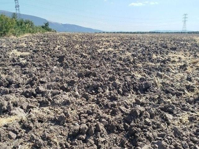 Dualar, Soma içerisinde satılık Arsa