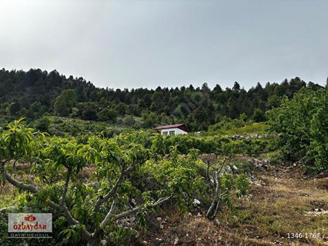 Toroslar, Mersin içerisinde satılık mülk