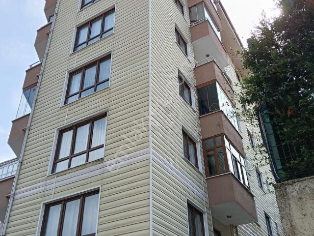Zonguldak Merkez, Zonguldak içerisinde kiralık mülk