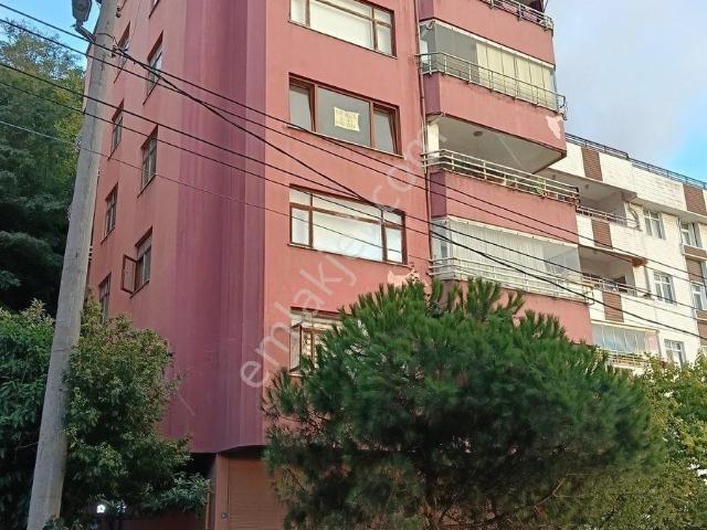 Zonguldak Merkez, Zonguldak içerisinde kiralık mülk