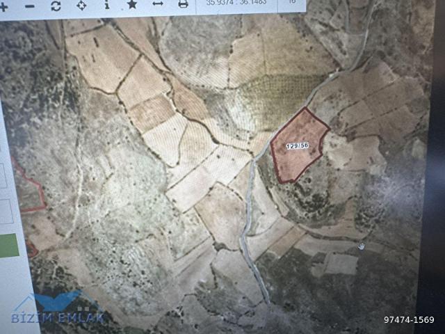 Arslanyazı, Yayladağı içerisinde satılık Arsa