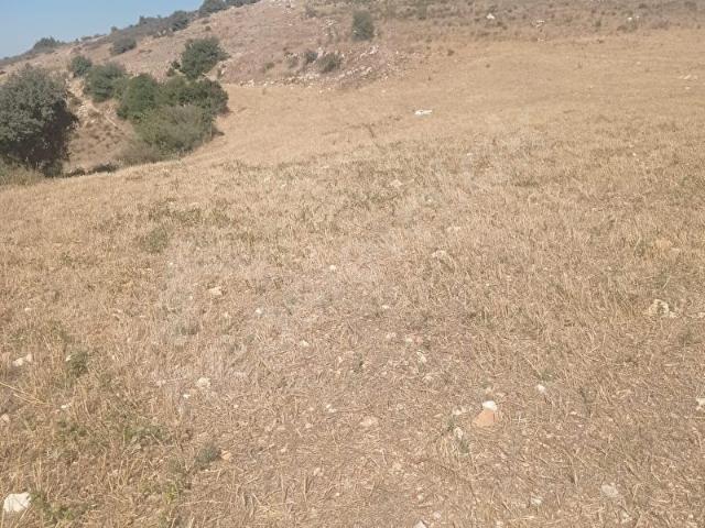 Yayladaği, Hatay içerisinde satılık Arsa