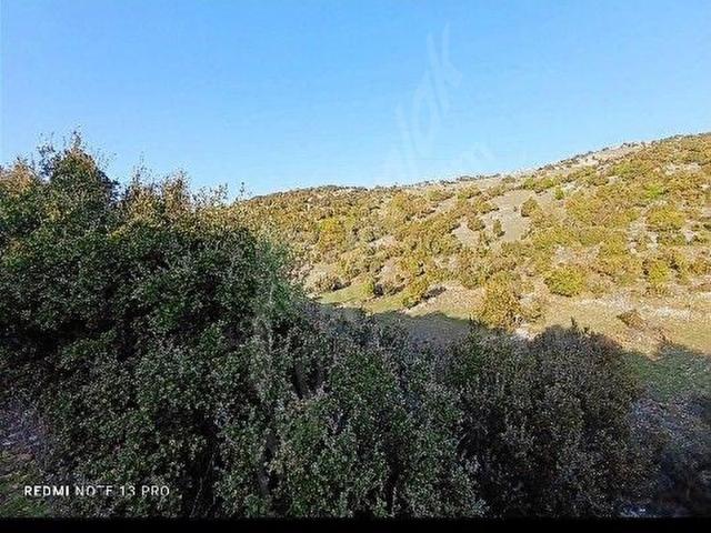 Çamaltı, Yayladağı içerisinde satılık Arsa