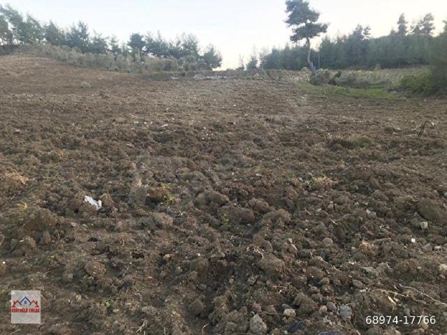 Helgin, Yayladağı içerisinde satılık Arsa