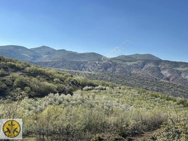 Niğde içerisinde satılık Arsa